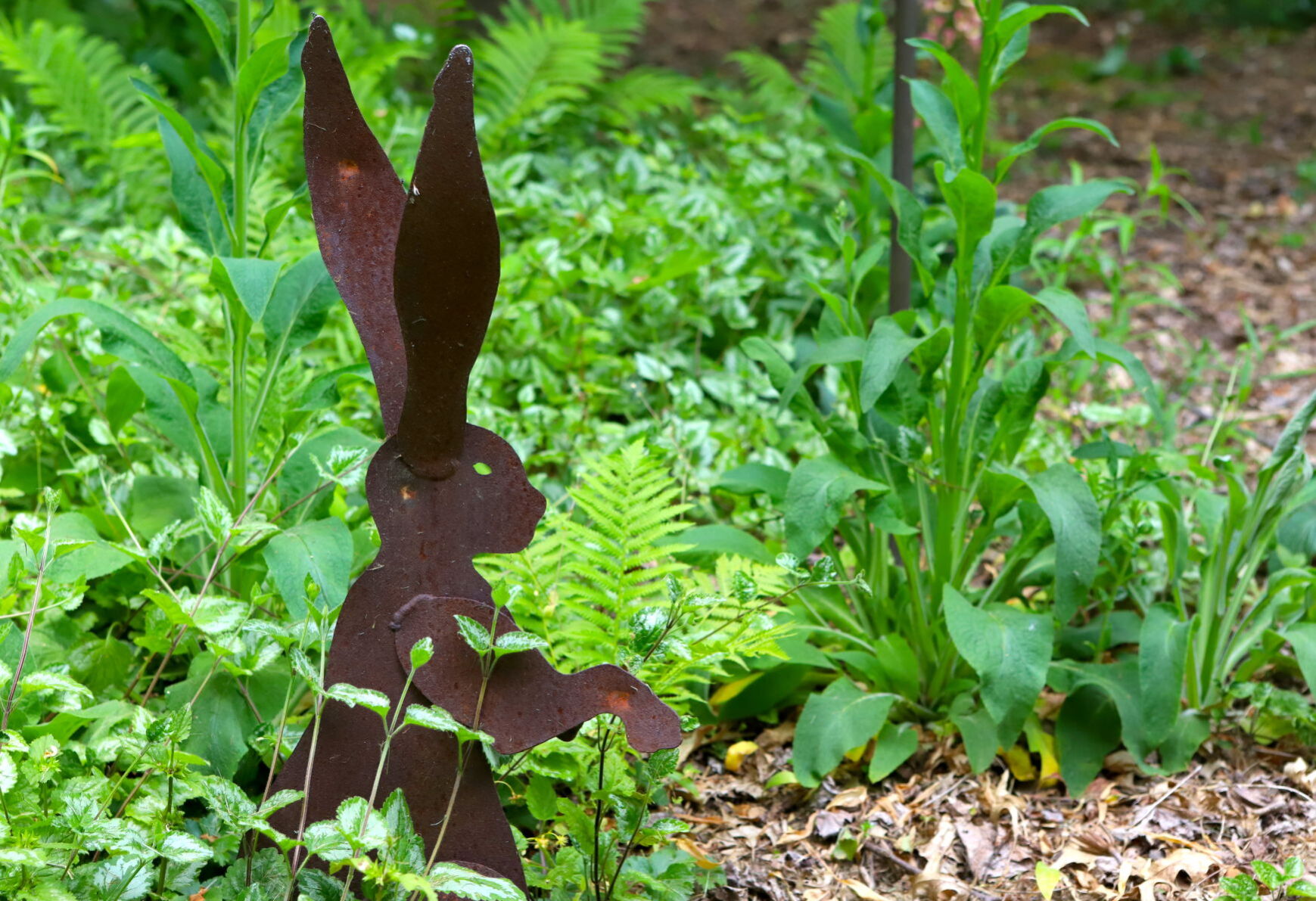 Newark Garden Tour